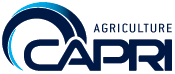 Capri developments logo